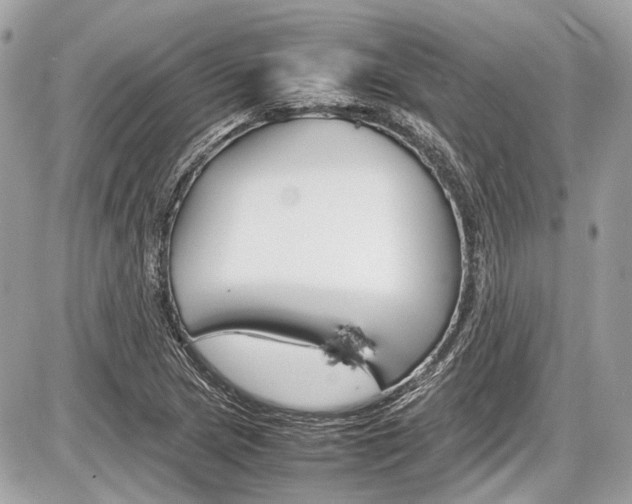 X0000087011217200704161257