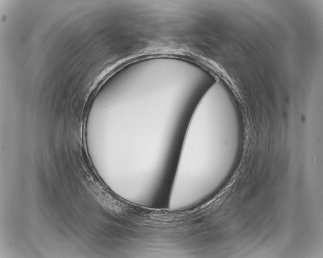 X0000087011220200704161257