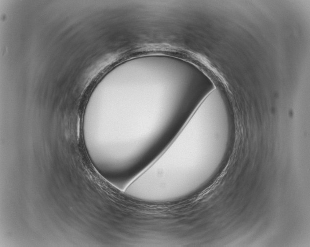 X0000087011221200704161257