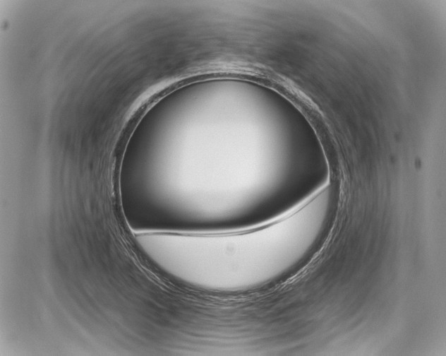 X0000087011222200704161257