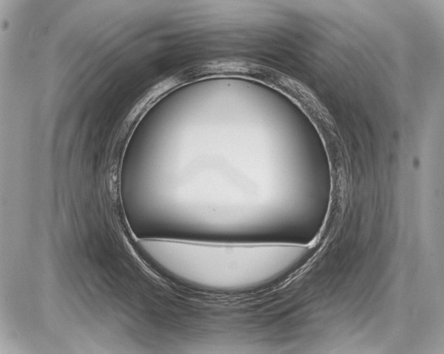 X0000087011225200704161257