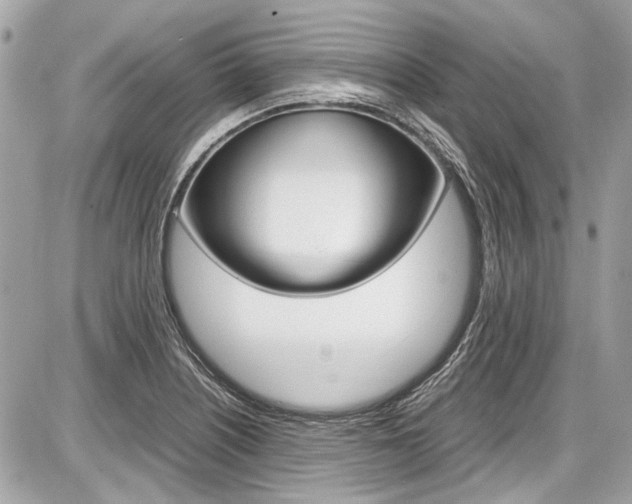 X0000087011226200704161257