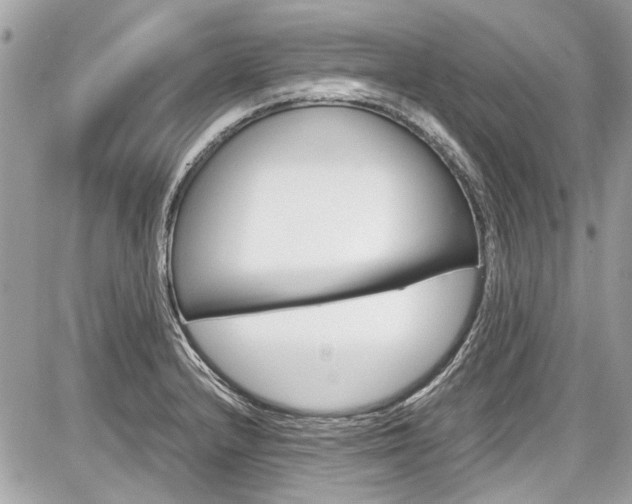 X0000087011232200704161257