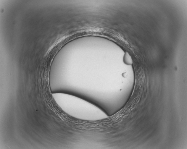 X0000087011255200704161257