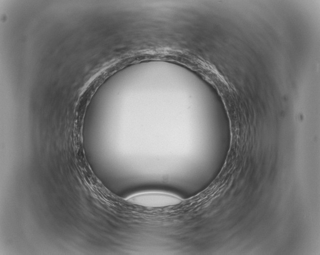 X0000087011256200704161257