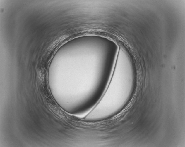 X0000087011257200704161257
