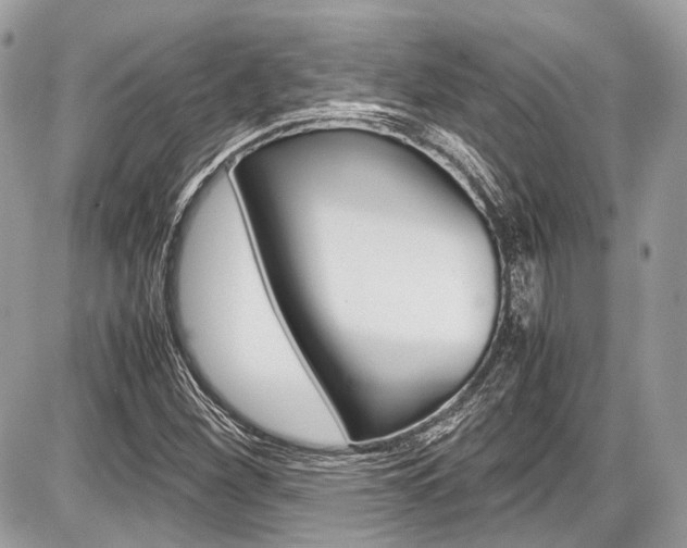 X0000087011260200704161257