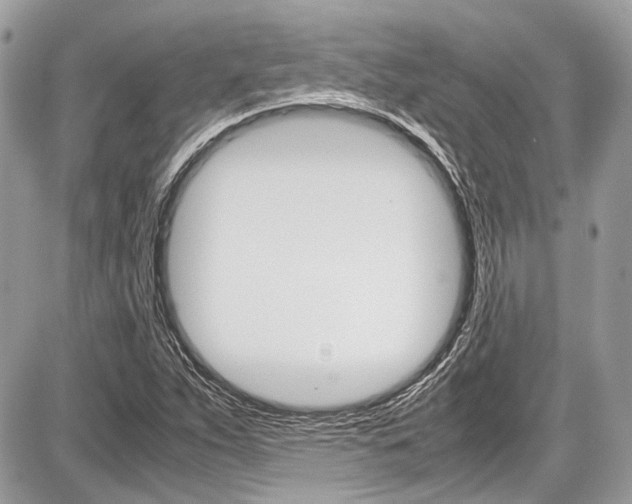 X0000087011263200704161256