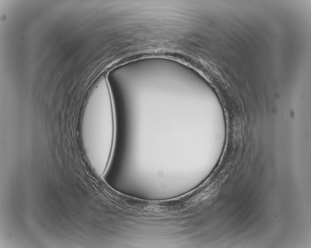 X0000087011265200704161256
