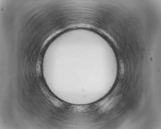 X0000087011266200704161256