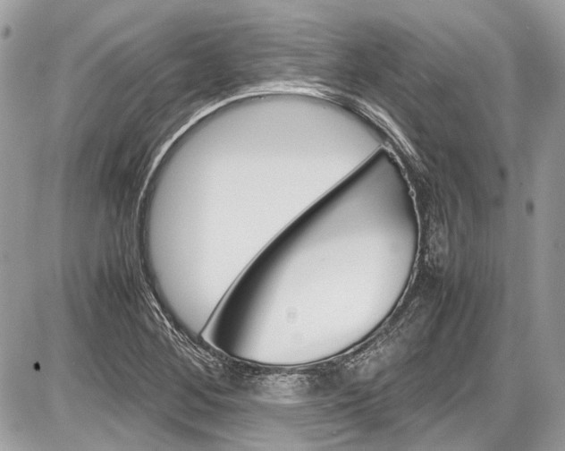 X0000087011268200704161256