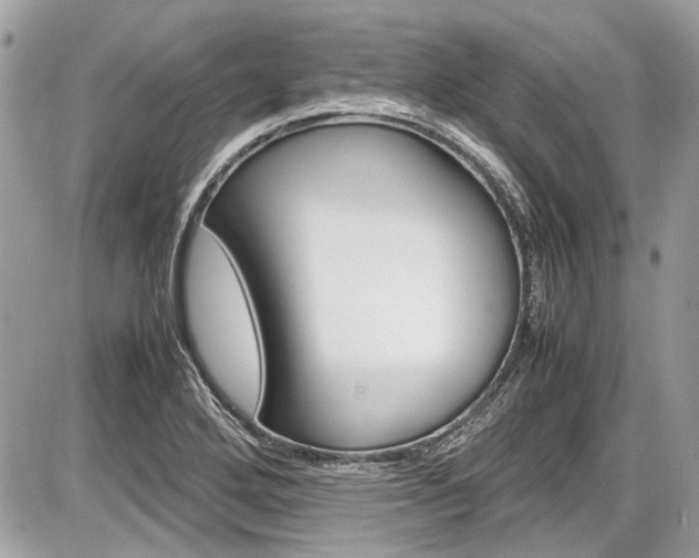 X0000087011272200704161256
