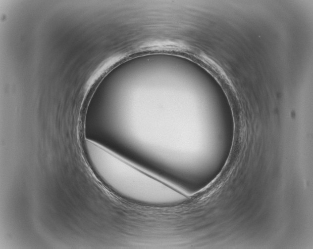 X0000087011277200704161256