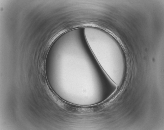 X0000087011281200704161256