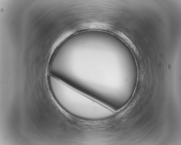 X0000087011285200704161256
