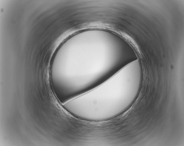 X0000087011288200704161256