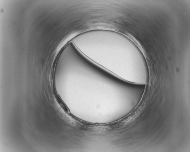 X0000087011293200704161256