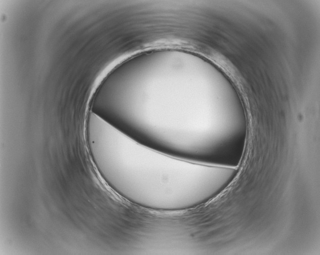 X0000087011296200704161256
