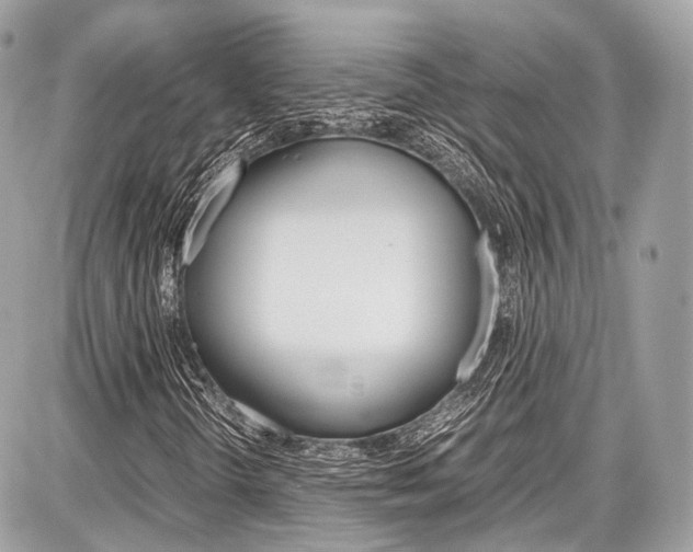 X0000087011298200704161255