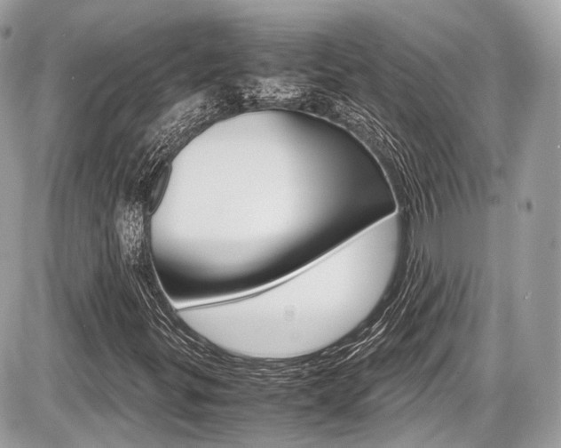 X0000087011299200704161255
