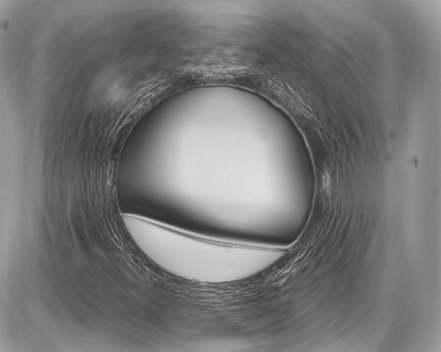 X0000087011300200704161255