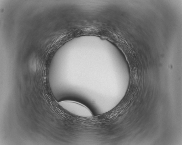 X0000087011301200704161255