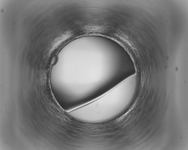 X0000087011309200704161255