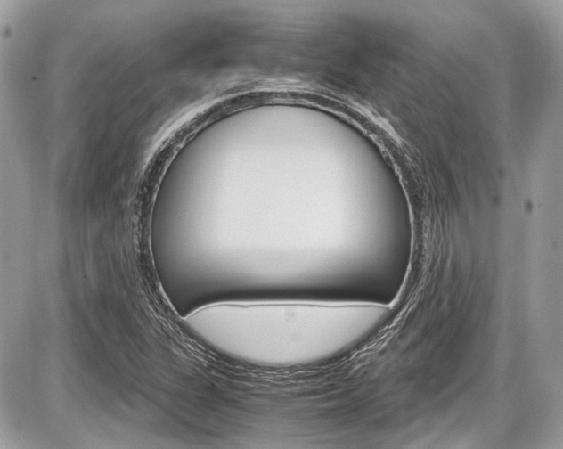 X0000087011311200704161255