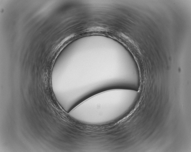 X0000087011313200704161255