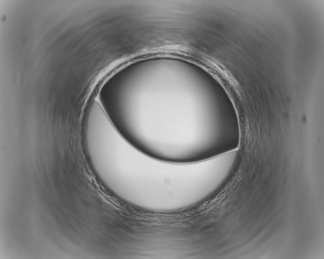 X0000087011316200704161255