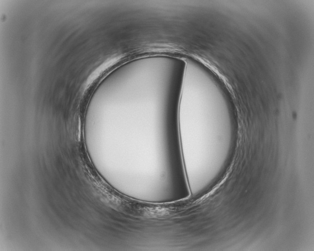 X0000087011317200704161255