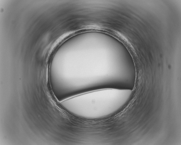 X0000087011323200704161255