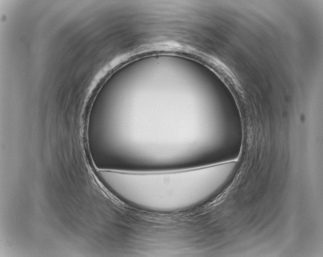 X0000087011326200704161256