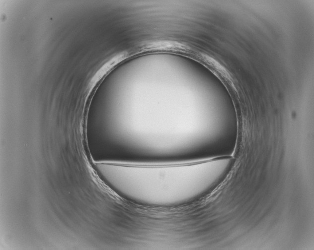X0000087011330200704161256
