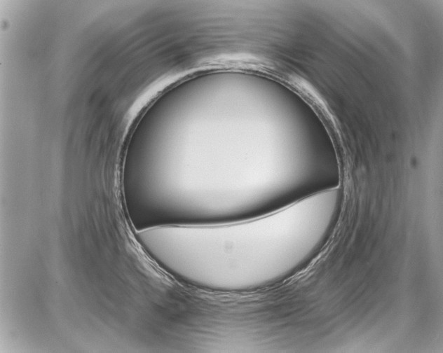X0000087011336200704161256