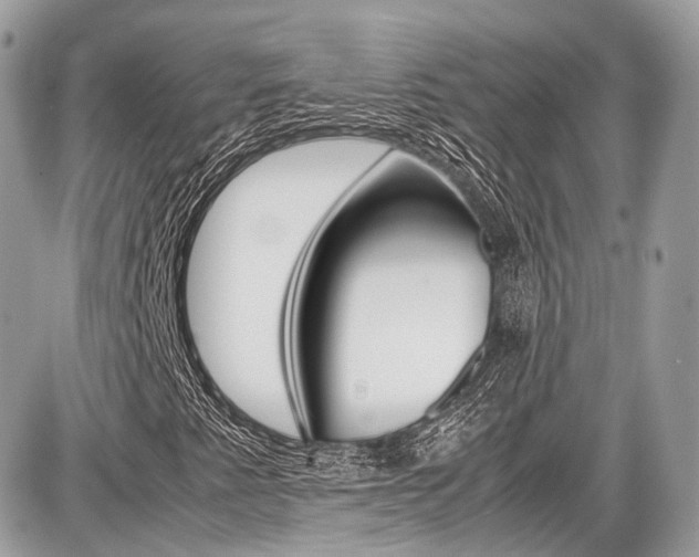 X0000087011345200704161255