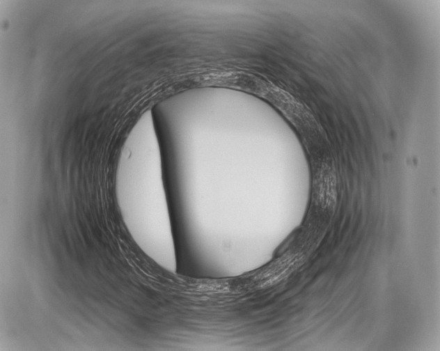 X0000087011346200704161255