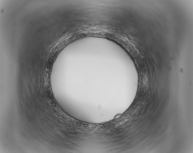 X0000087011350200704161255