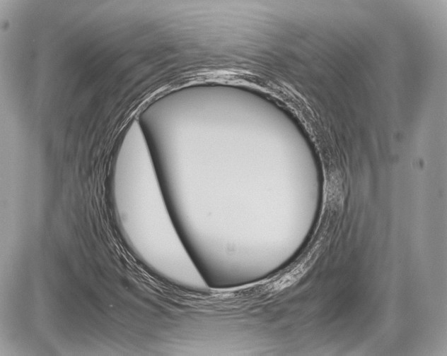 X0000087011353200704161255