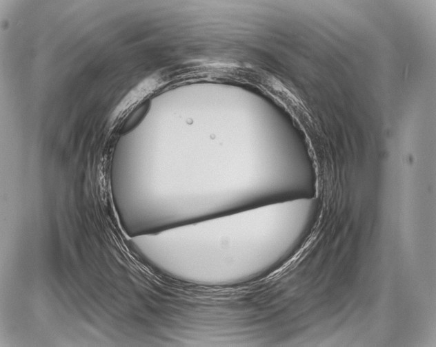 X0000087011354200704161255