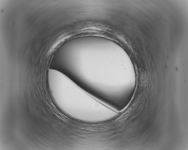 X0000087011355200704161255