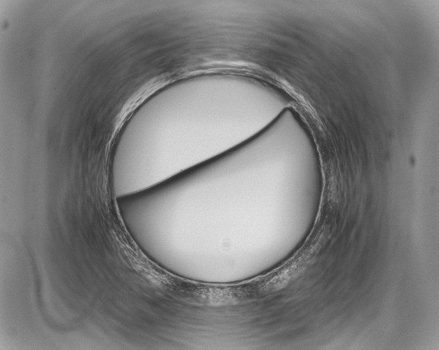 X0000087011362200704161255