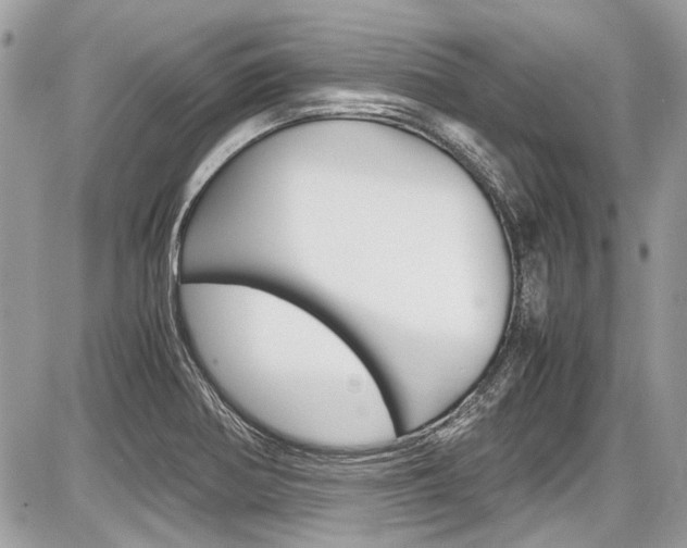 X0000087011370200704161254