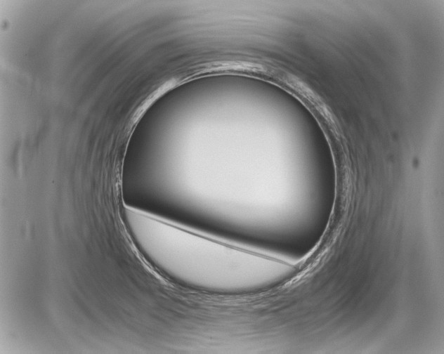 X0000087011377200704161254