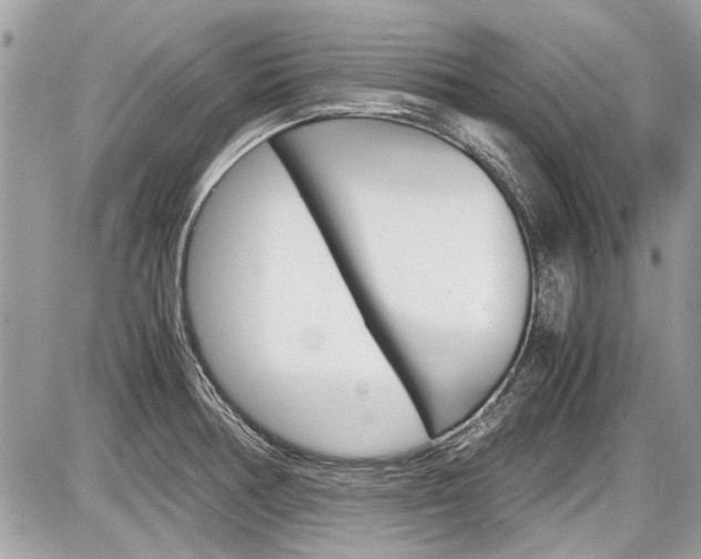 X0000087011378200704161254