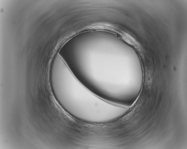 X0000087011384200704161254