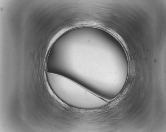 X0000087011389200704161254