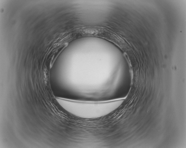 X0000087011394200704161253