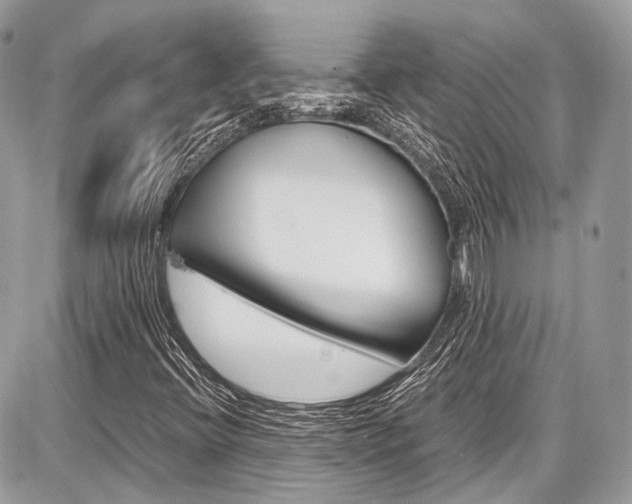 X0000087011396200704161253