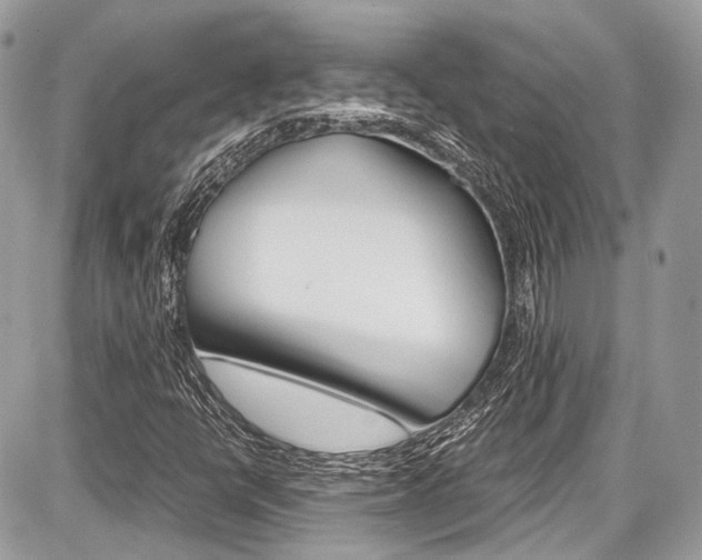 X0000087011398200704161253